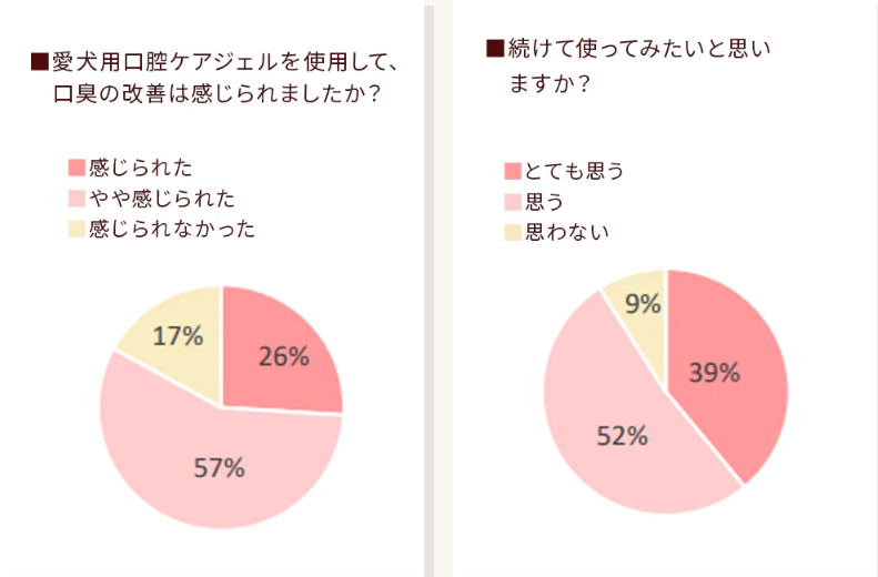 木曽檜歯磨きジェルで愛犬の口臭が98％激減！口コミで話題沸騰中！