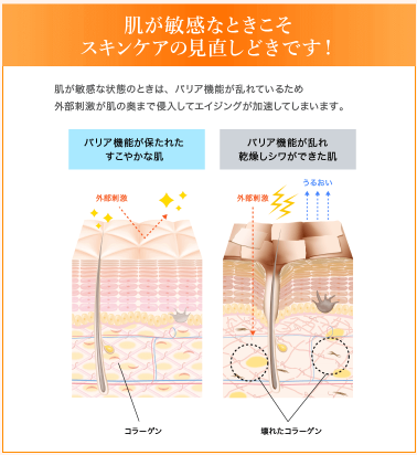 ファンケルエンリッチプラスの使い方をマスターしてシワ改善を実感