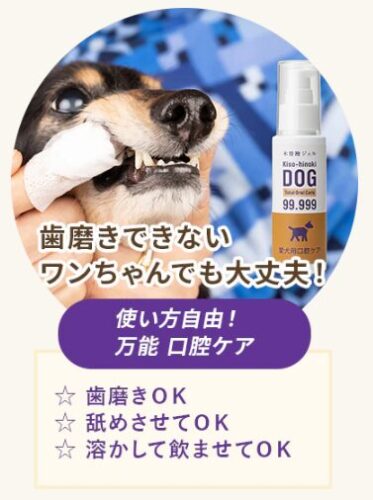 木曽檜歯磨きジェルで愛犬の口臭が98％激減！口コミで話題沸騰中！