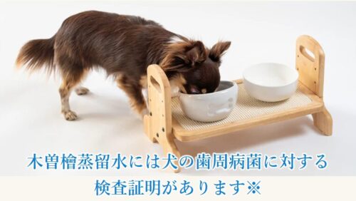 木曽檜歯磨きジェルで愛犬の口臭が98％激減！口コミで話題沸騰中！