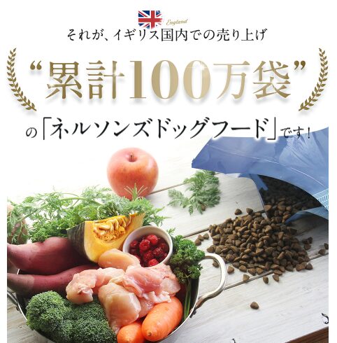 ネルソンズドッグフードで愛犬を健康的に育てる方法！Amazonで買える？