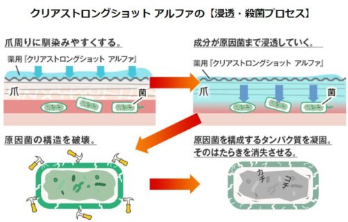 【騙されるな】クリアストロングショットアルファの嘘！口コミの真実