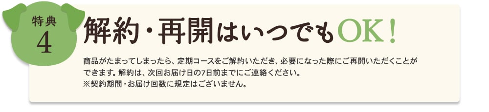 【注意】モグワンがダメな子！絶対に知っておきたい5つのポイント