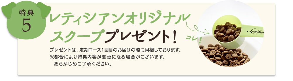 【注意】モグワンがダメな子！絶対に知っておきたい5つのポイント